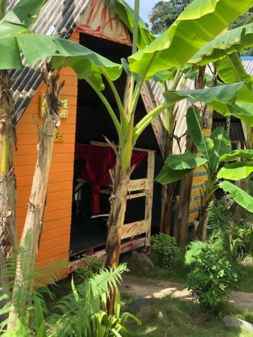 Beach Shack Chalet - Garden View Aframe Small Unit Kampong Juara Esterno foto